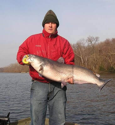 15 Catfishing Tips